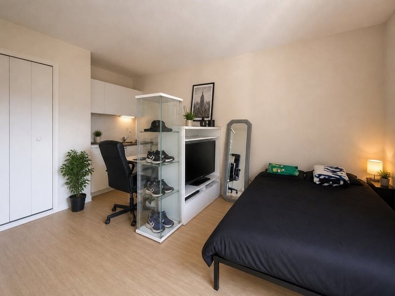 Appartement à vendre, 22m², Tours