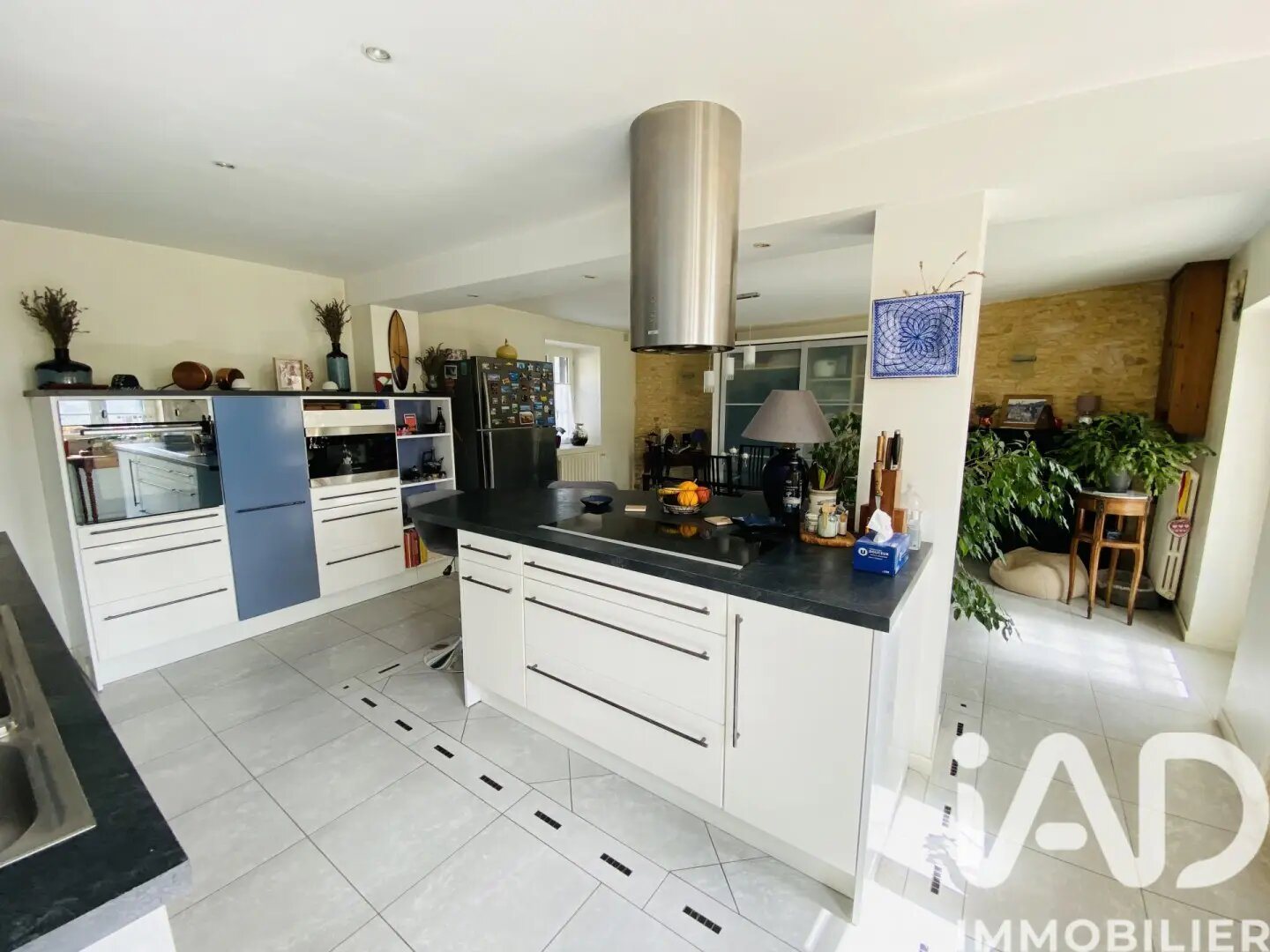 Maison à vendre, 214m², Migné-Auxances