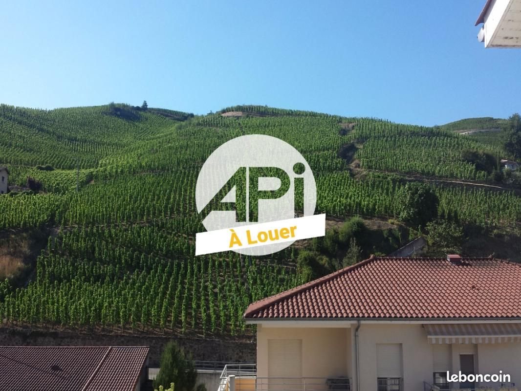 Appartement à louer, 27m², Ampuis