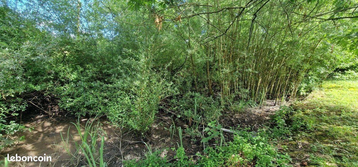 Maison à vendre, 102m², Frangy-en-Bresse