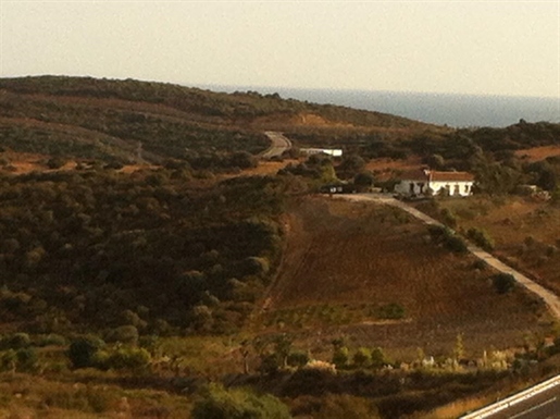 Casares (Málaga) photo 2
