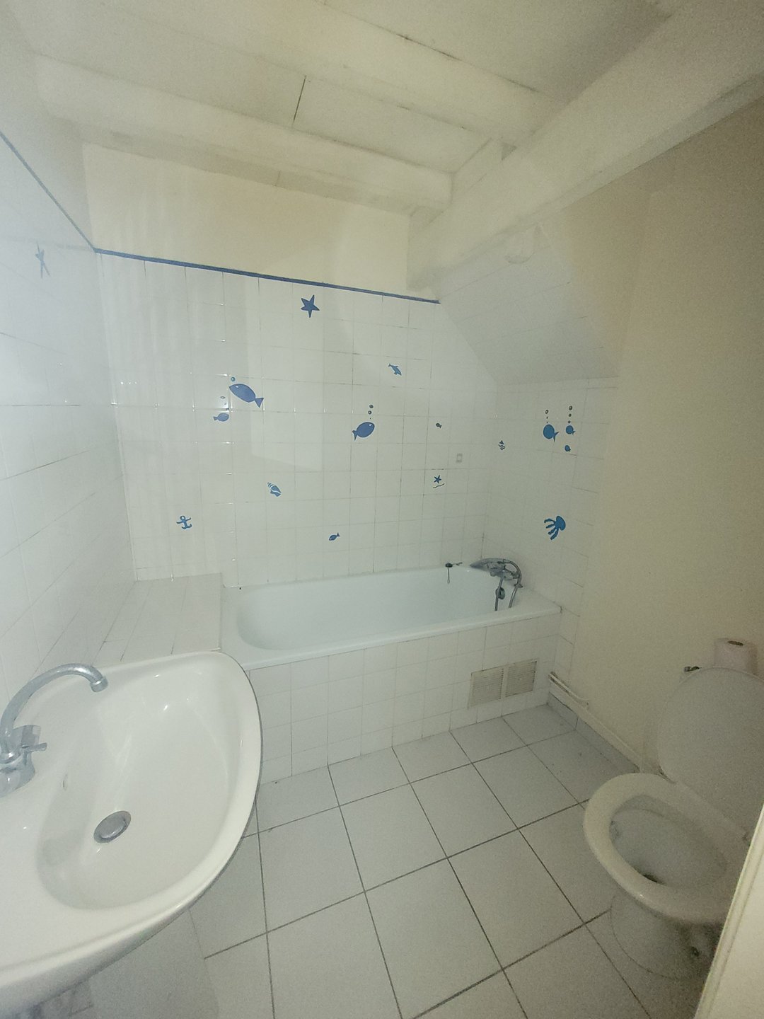 Appartement à louer, 21m², Auch