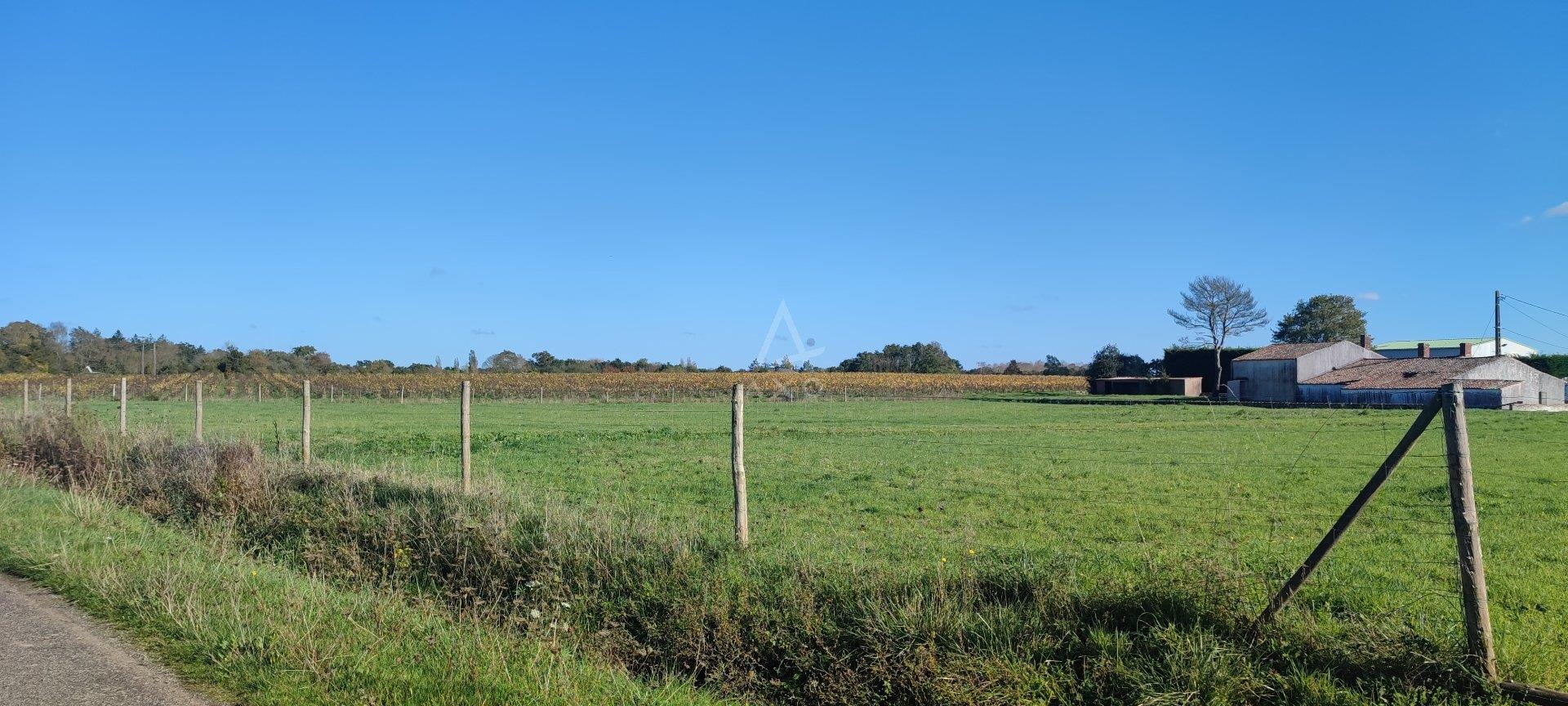 Maison à vendre, 105m², Vallet