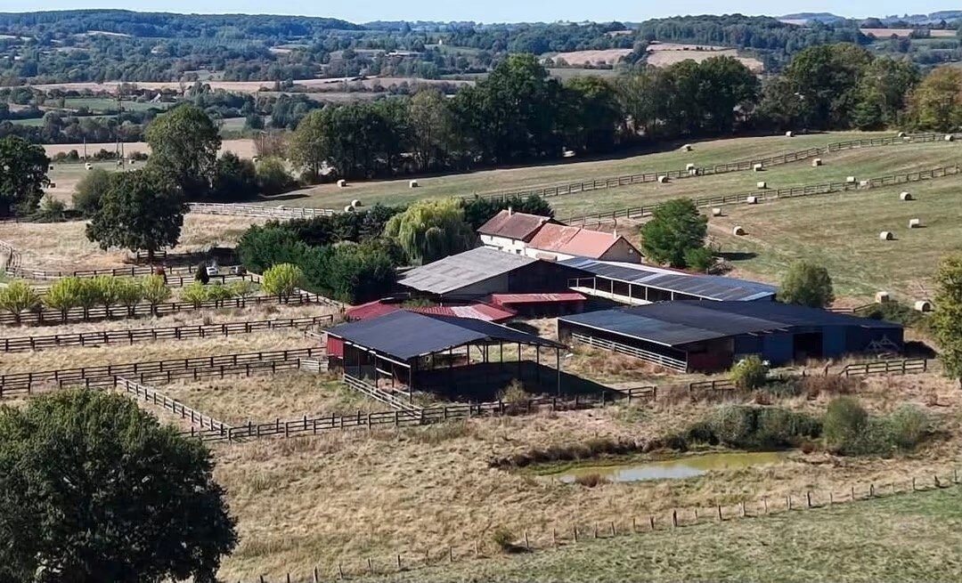 Maison à vendre, 340m², Mortagne-au-Perche