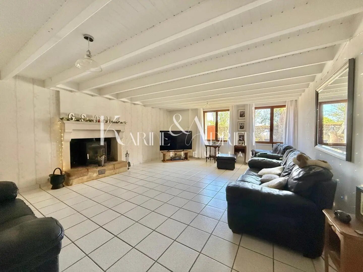 Maison à vendre, 365m², Saint-Hilaire-des-Loges