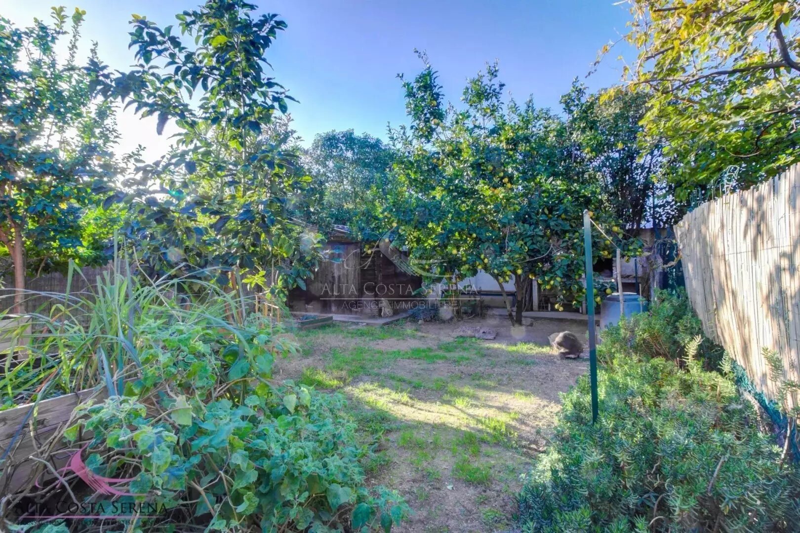 Maison à vendre, 44m², Prunelli-di-Fiumorbo