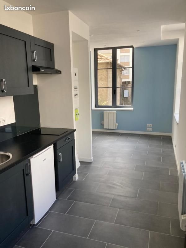 Appartement à louer, 25m², Saint-Etienne