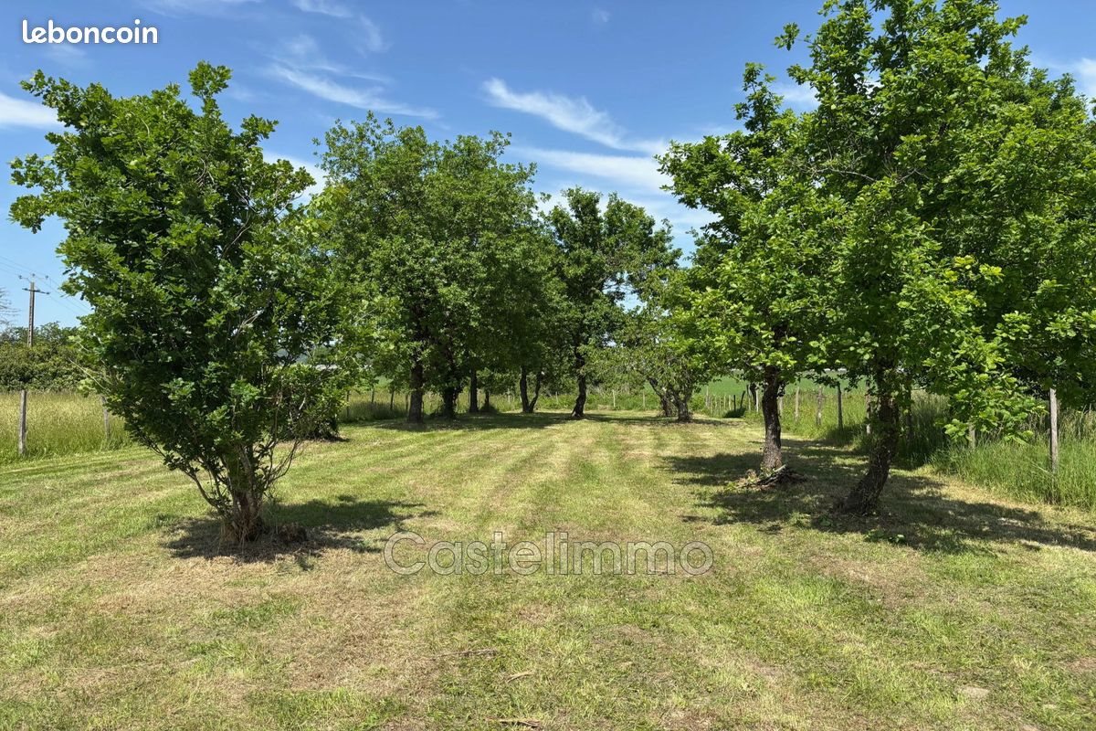 Maison à vendre, 148m², Saint-Nicolas-de-la-Grave