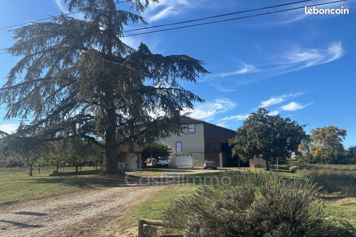 Maison à vendre, 195m², Saint-Nicolas-de-la-Grave