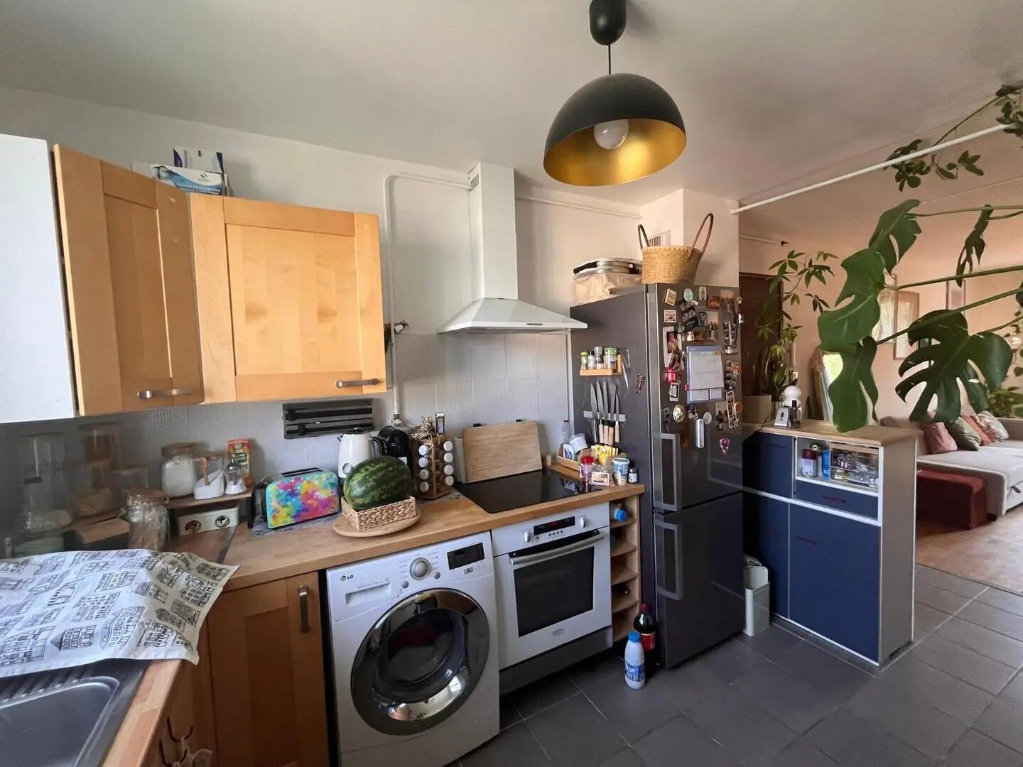 Appartement à louer, 56m², Vienne