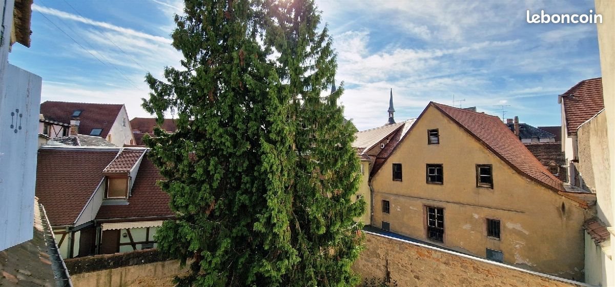 Appartement à vendre, 120m², Colmar