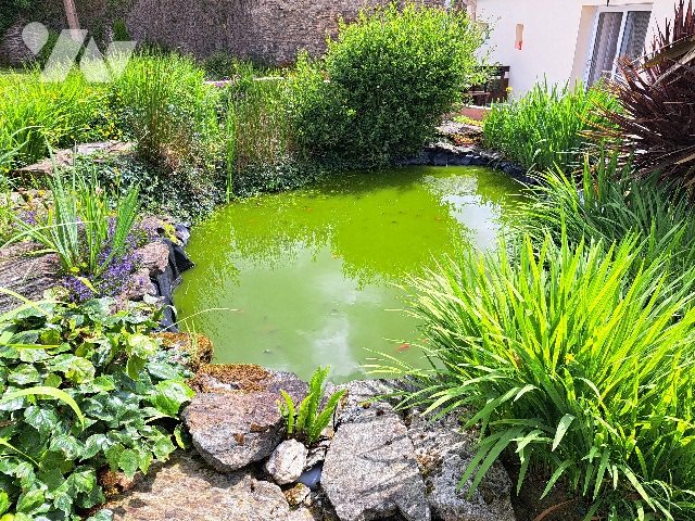 Maison à vendre, 197m², Pluméliau