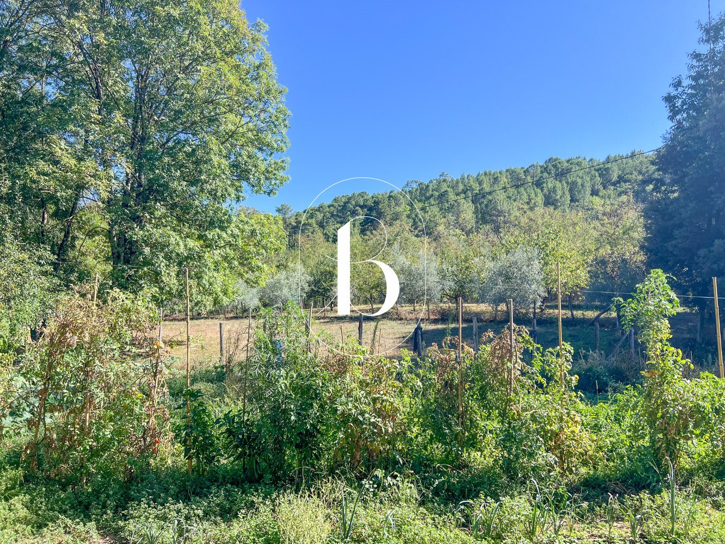 Maison à vendre, 275m², Saint-Ambroix
