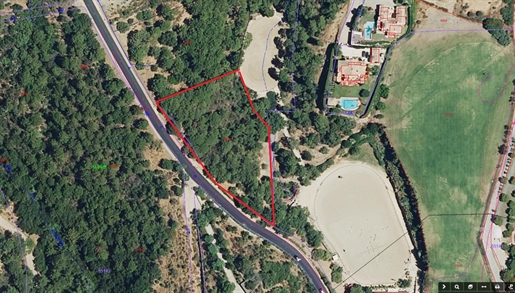 Advert pic 0