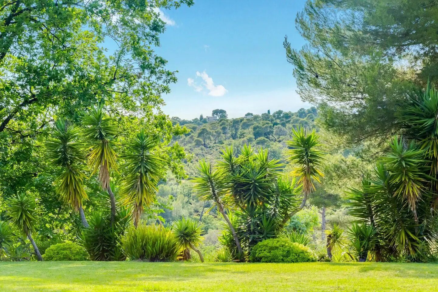 Maison à vendre, 195m², Villeneuve-Loubet