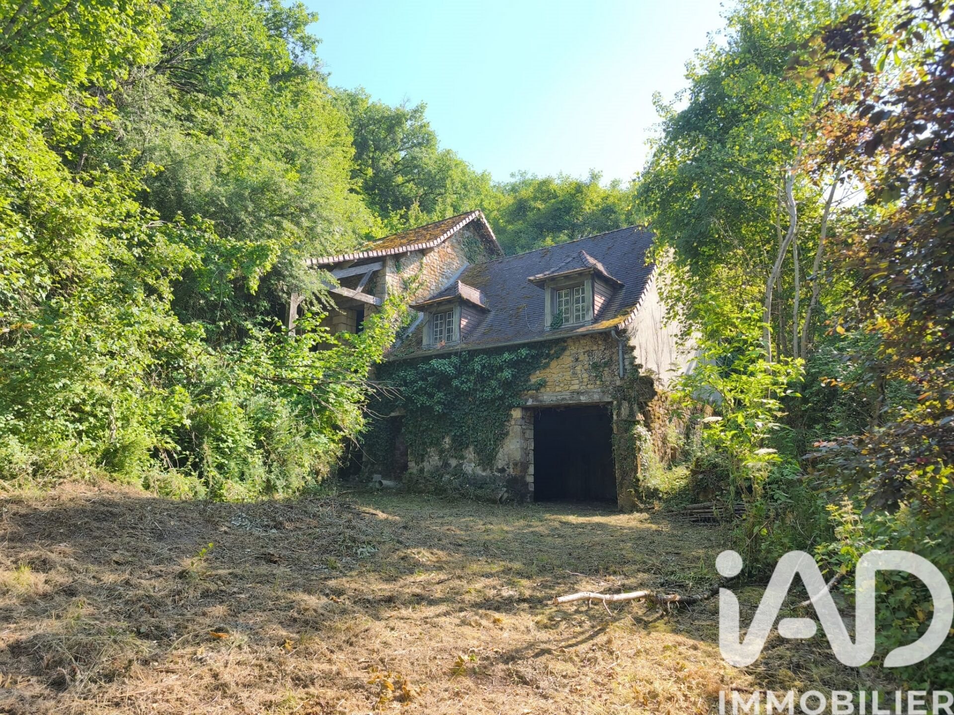 Maison à vendre, 1m², Terrasson-Lavilledieu