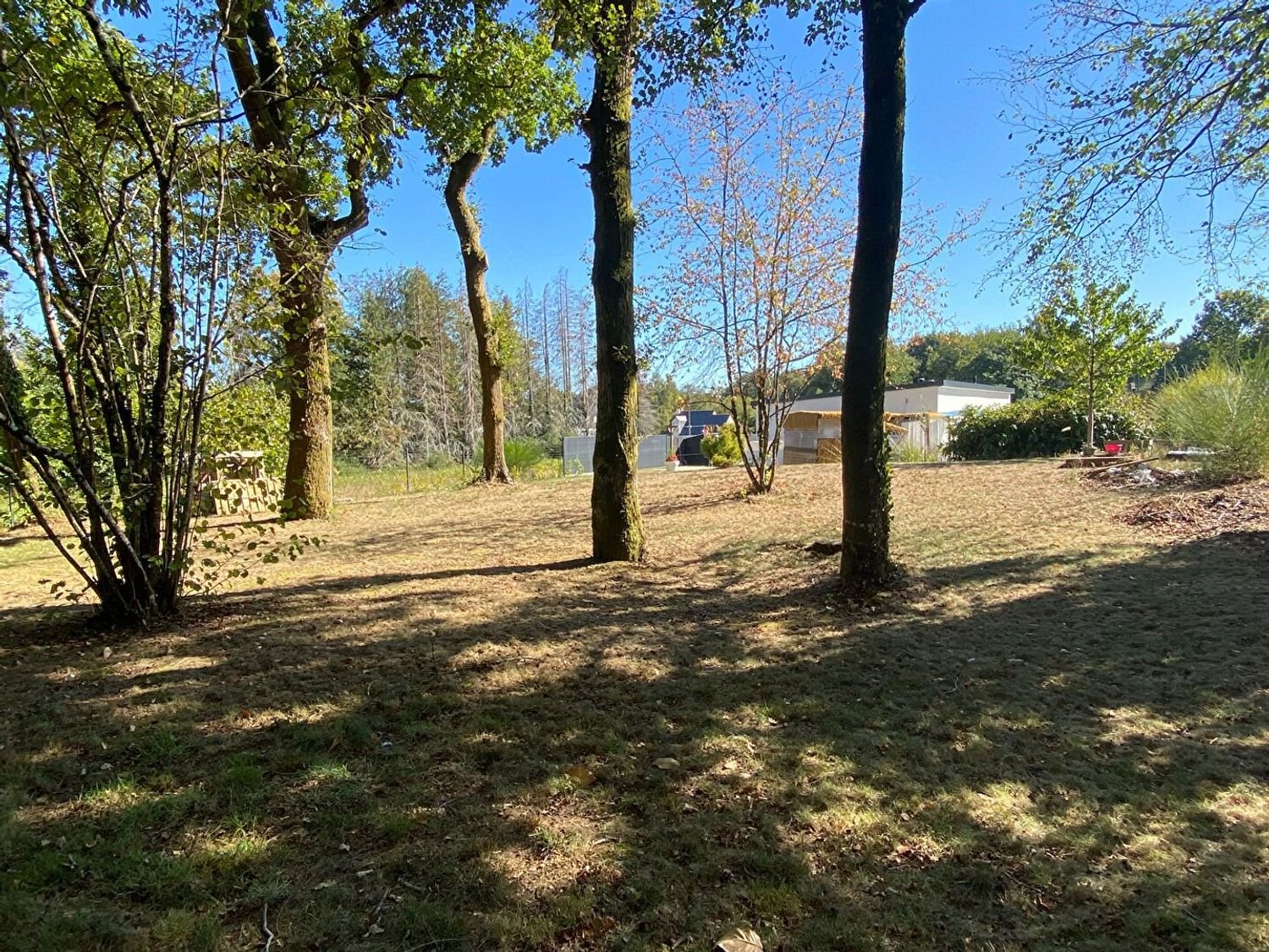 Maison à vendre, 91m², Languidic