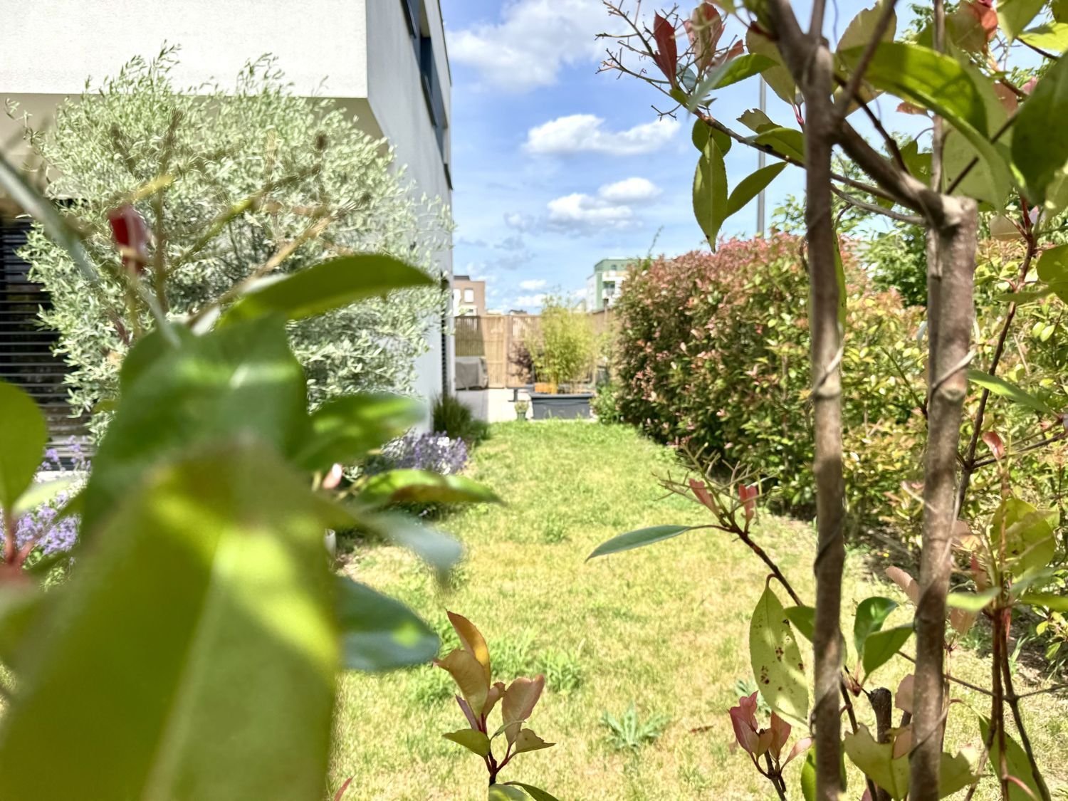 Maison à vendre, 145m², Mittelhausbergen