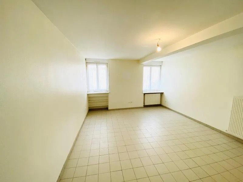 Appartement à louer, 48m², Saint-Laurent-sur-Saône