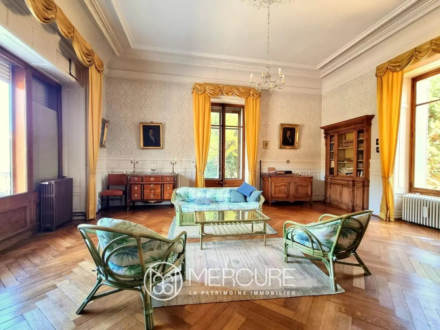 Maison à vendre, 560m², Annonay