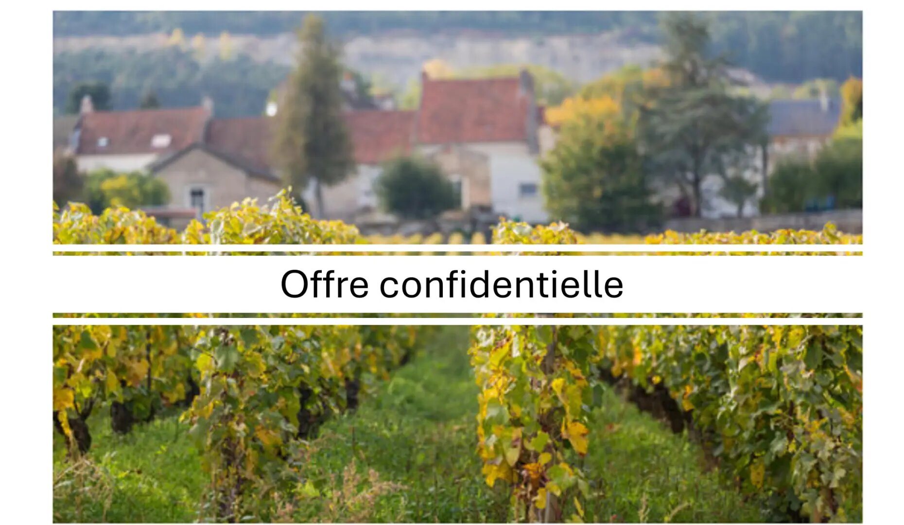 Maison à vendre, 450m², Meursault