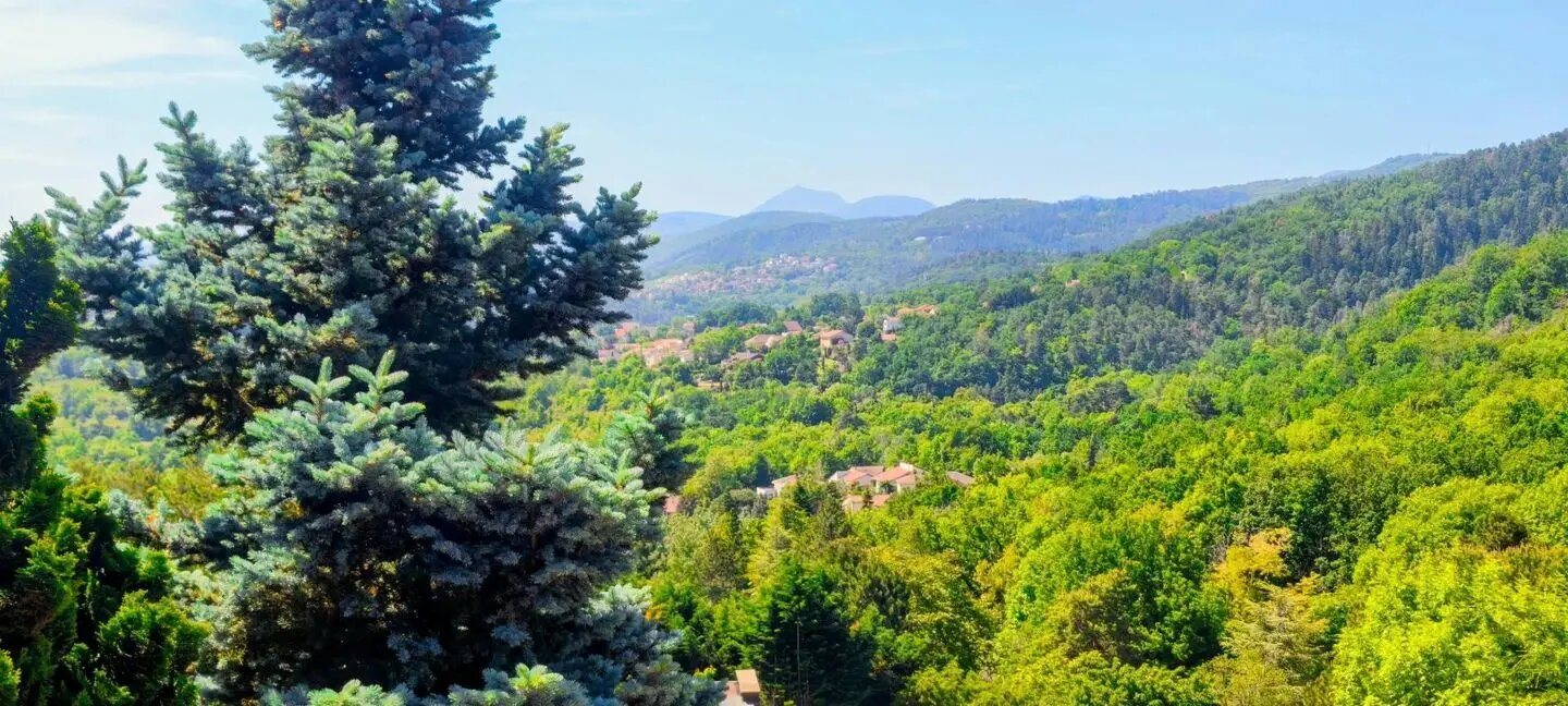 Maison à vendre, 224m², Châtel-Guyon