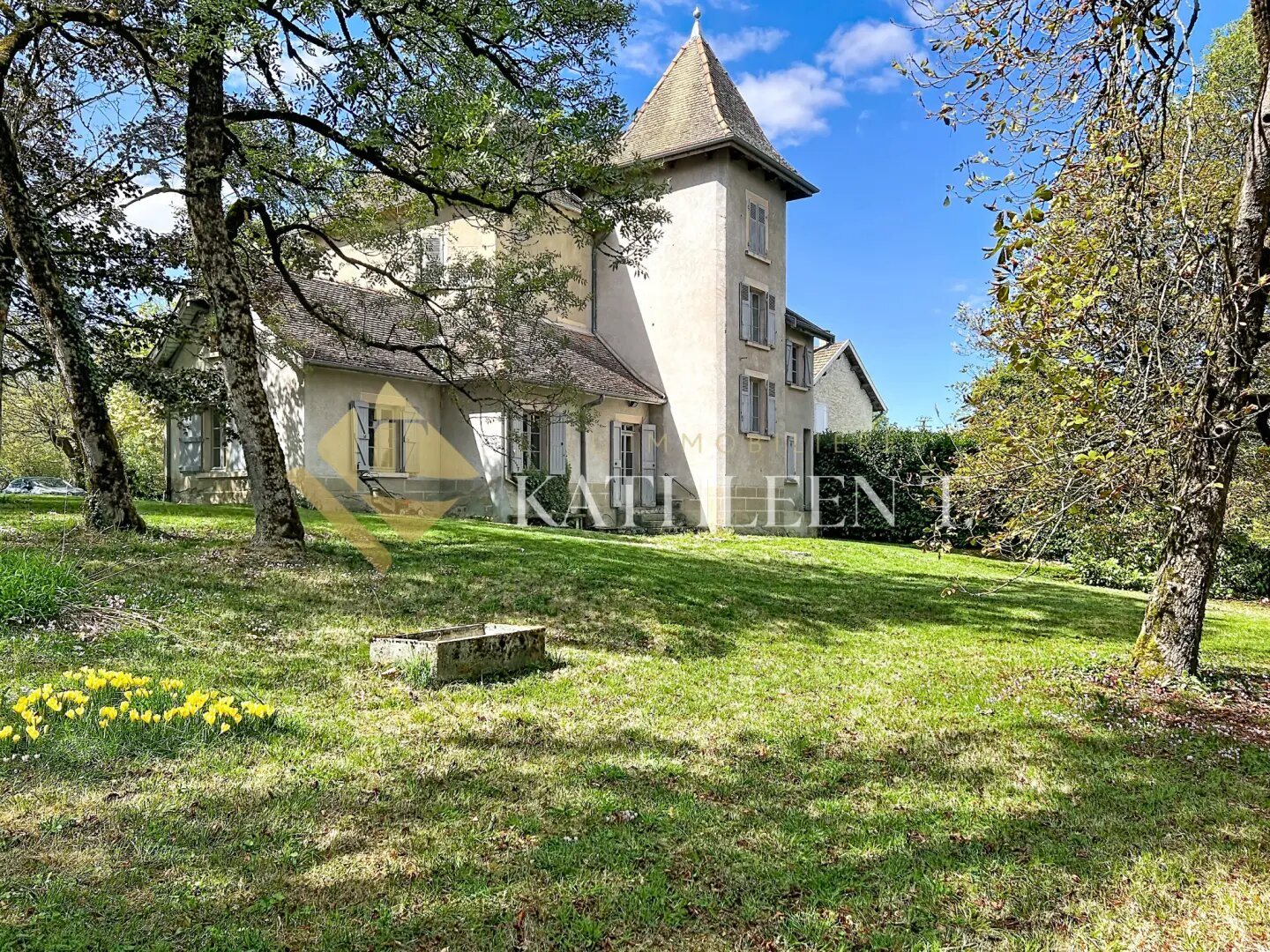 Maison à vendre, 342m², Montalieu-Vercieu