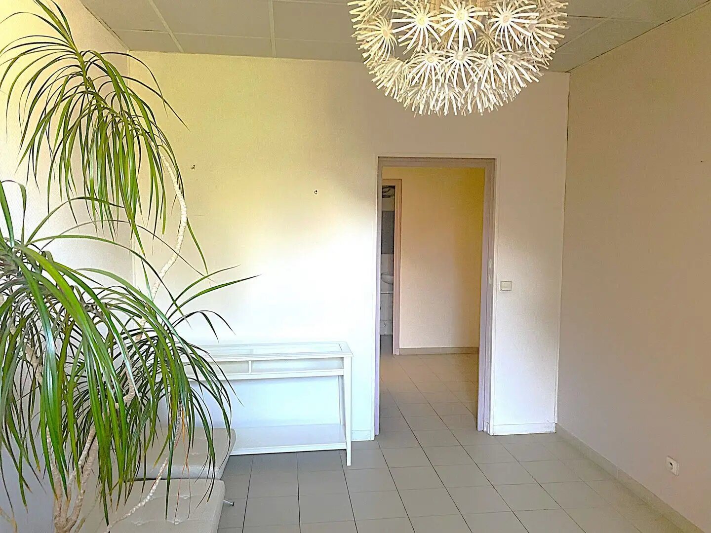 Appartement à louer, 51m², Villefranche-sur-Saône
