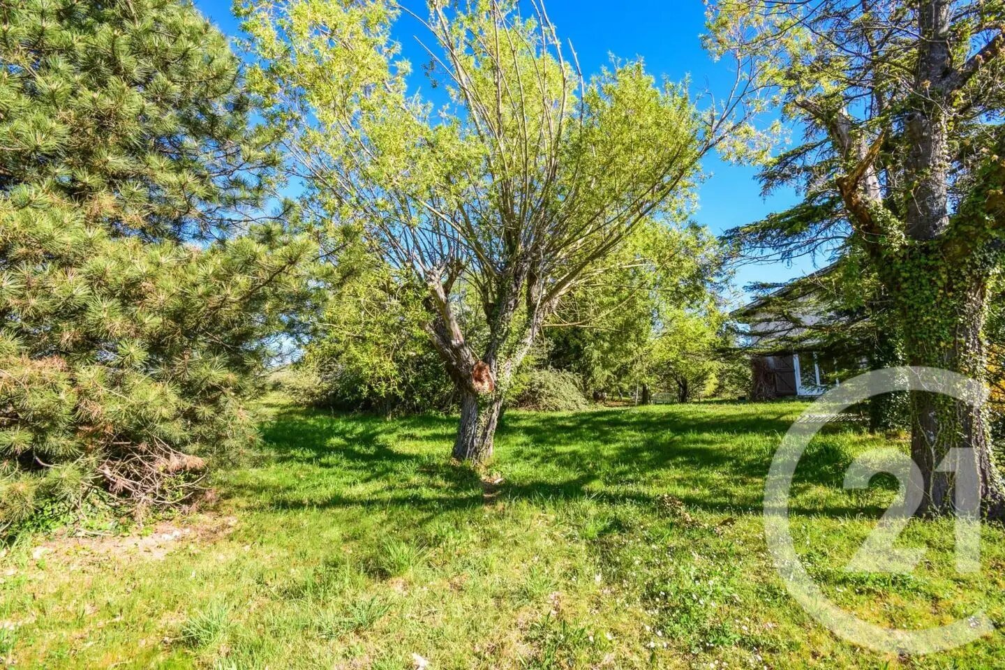Maison à vendre, 177m², Lantignié