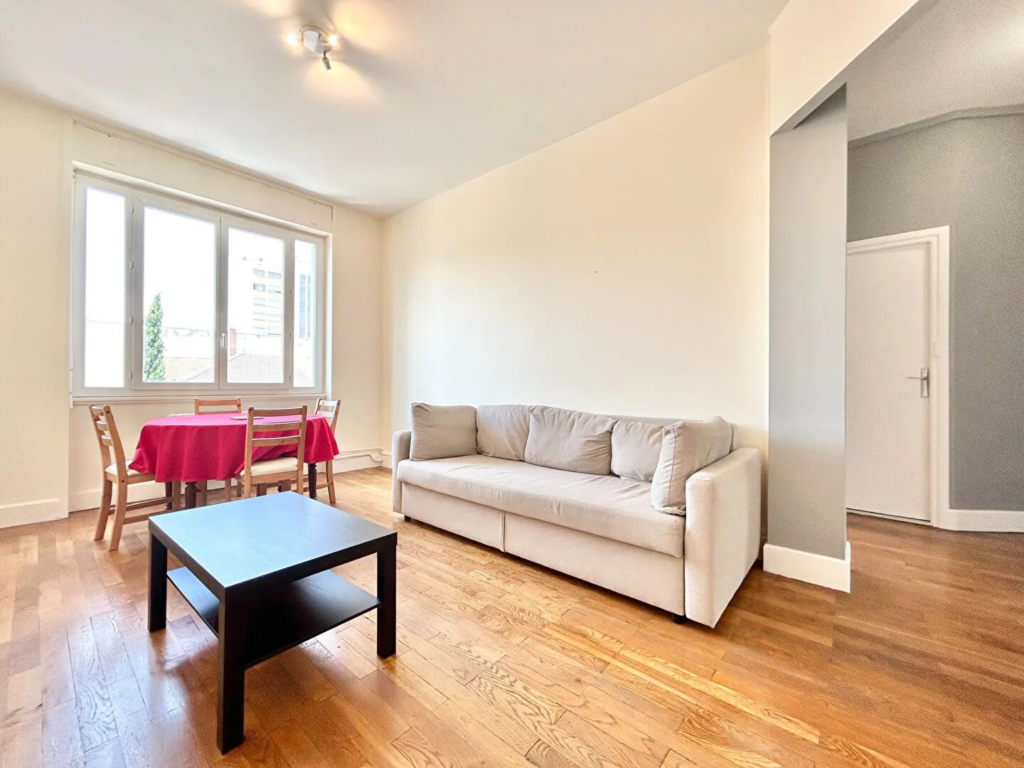 Appartement à louer, 49m², Lyon 7ème