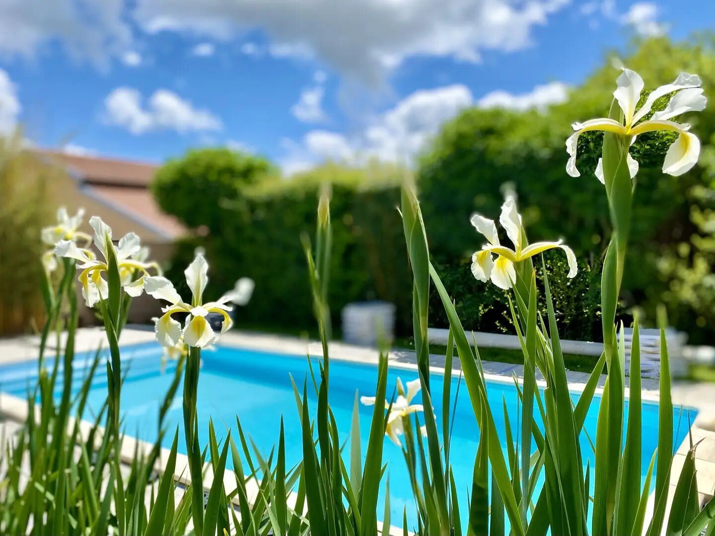 Maison à vendre, 233m², Saint-Laurent-d'Agny