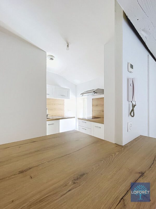 Appartement à louer, 42m², Neuville-sur-Saône