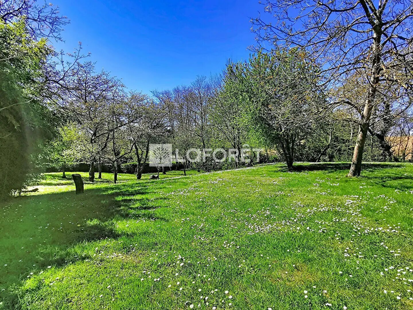 Maison à vendre, 110m², Genay