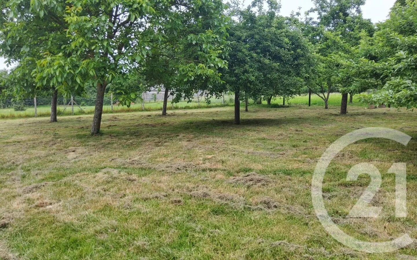 Maison à vendre, 180m², Lamorlaye
