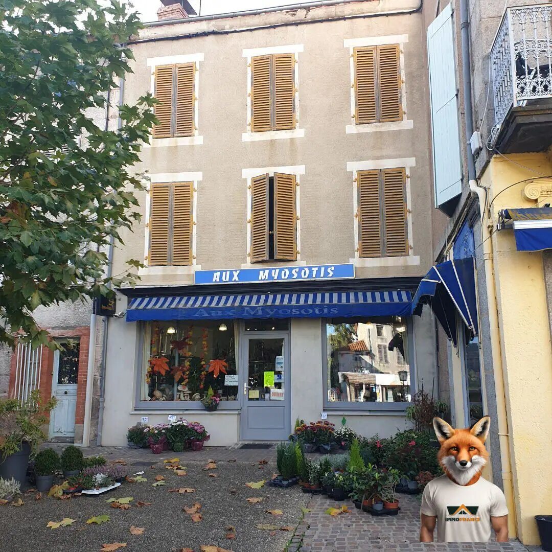 Maison à vendre, 500m², Arlanc