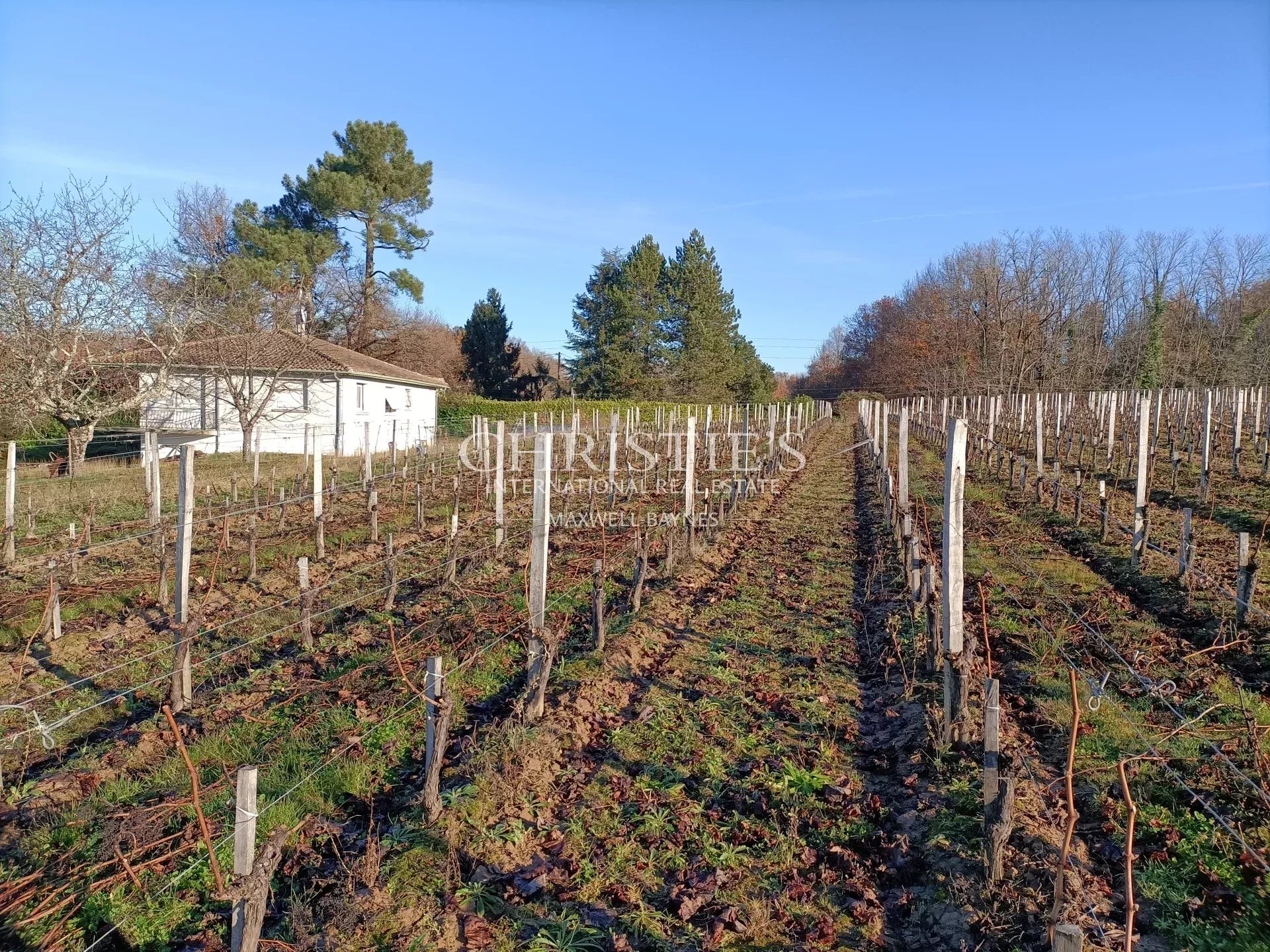 Maison à vendre, 109m², Bayon-sur-Gironde