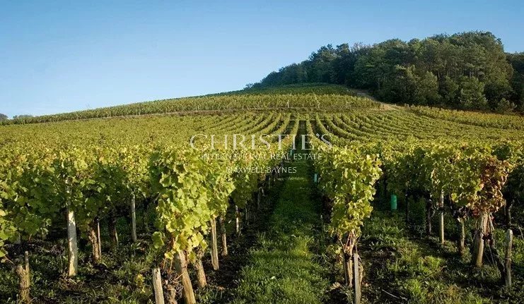 Maison à vendre, 755m², Saint-Émilion