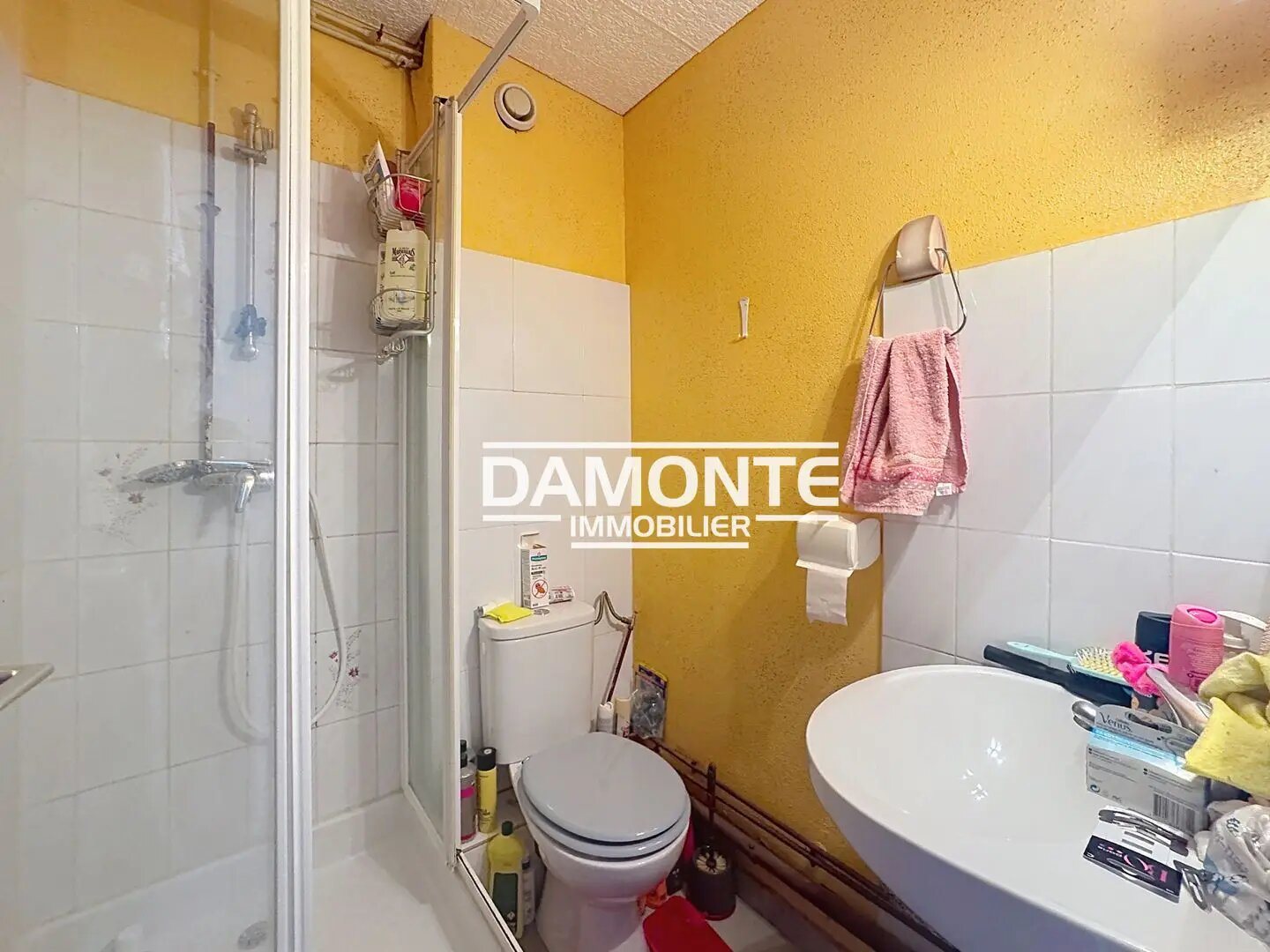 Appartement à vendre, 21m², Sainte-Savine