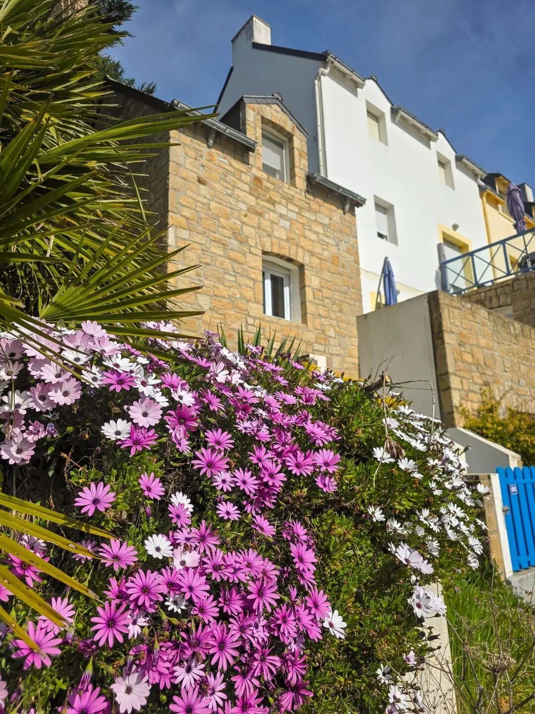 Appartement à vendre, 70m², Sauzon
