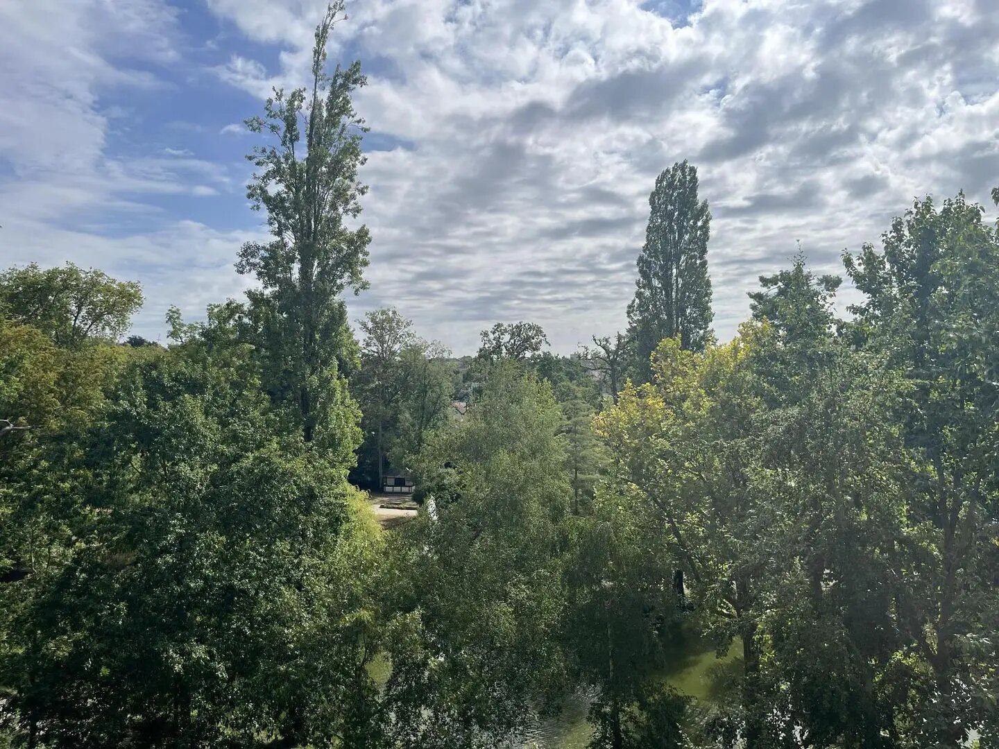 Appartement à louer, 37m², Le Mans
