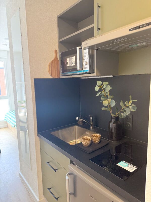 Appartement à louer, 19m², Toulouse