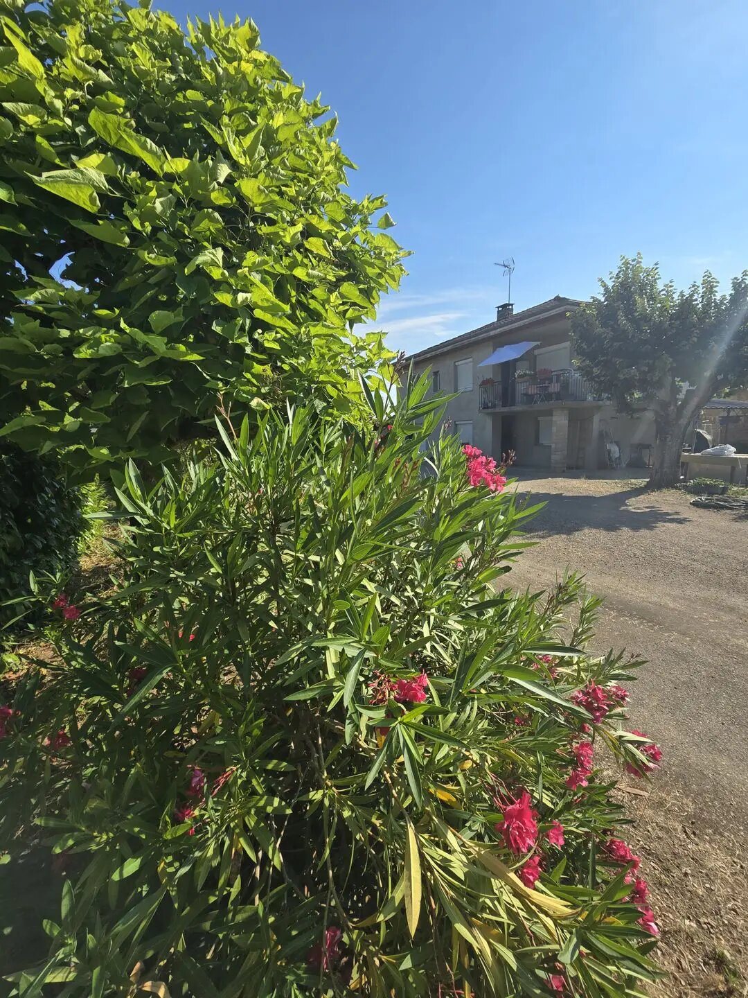 Maison à vendre, 95m², Replonges