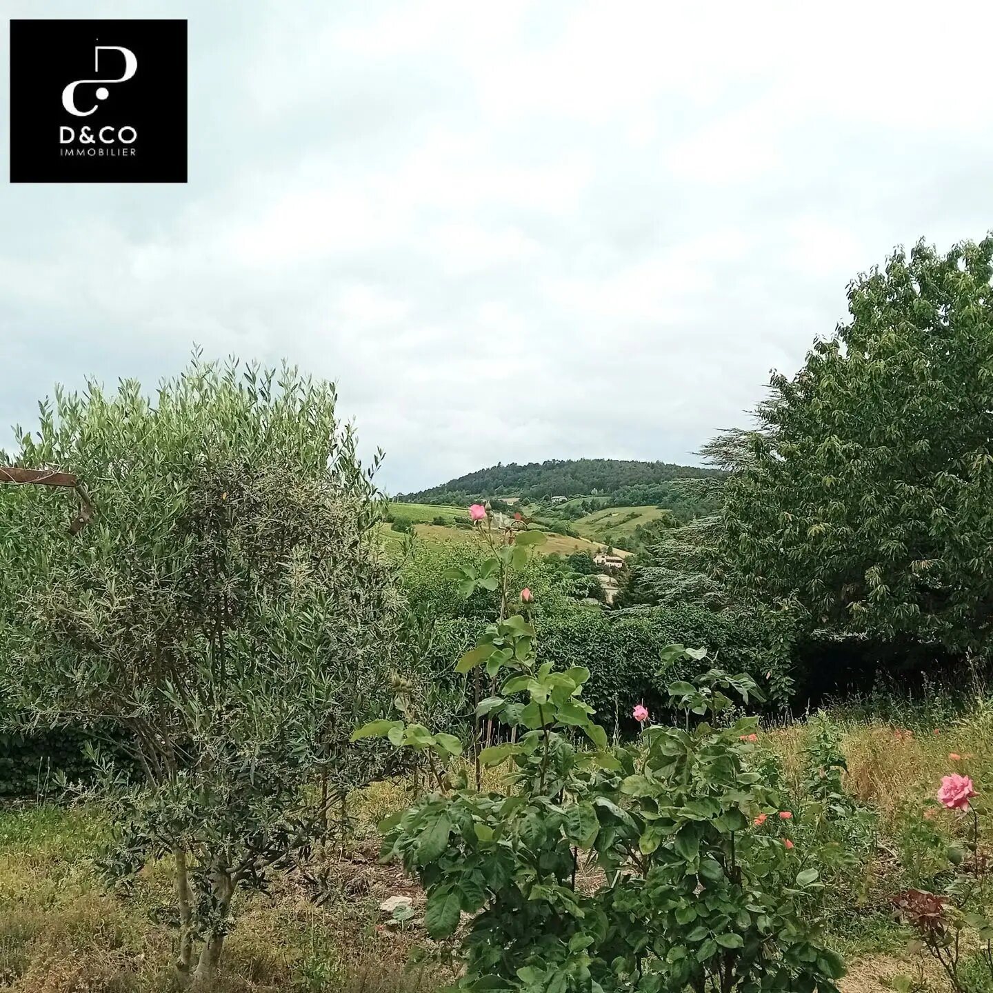 Maison à vendre, 100m², Prissé
