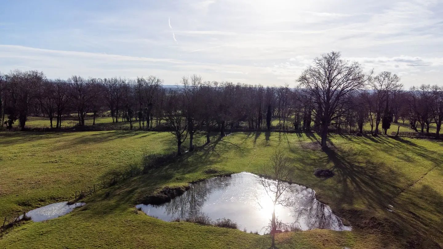 Maison à vendre, 80m², Saint-Jean-sur-Veyle