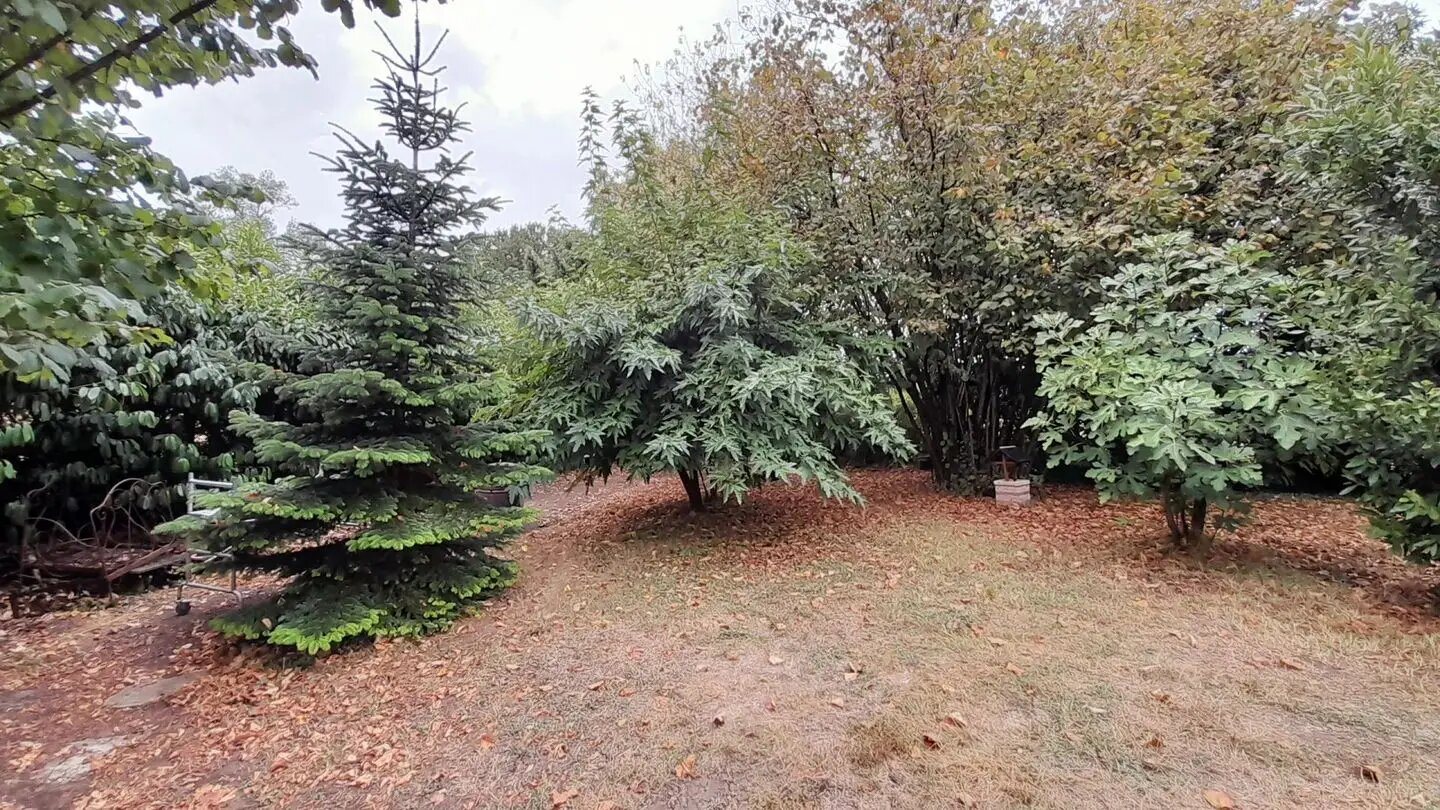 Maison à vendre, 115m², Fareins