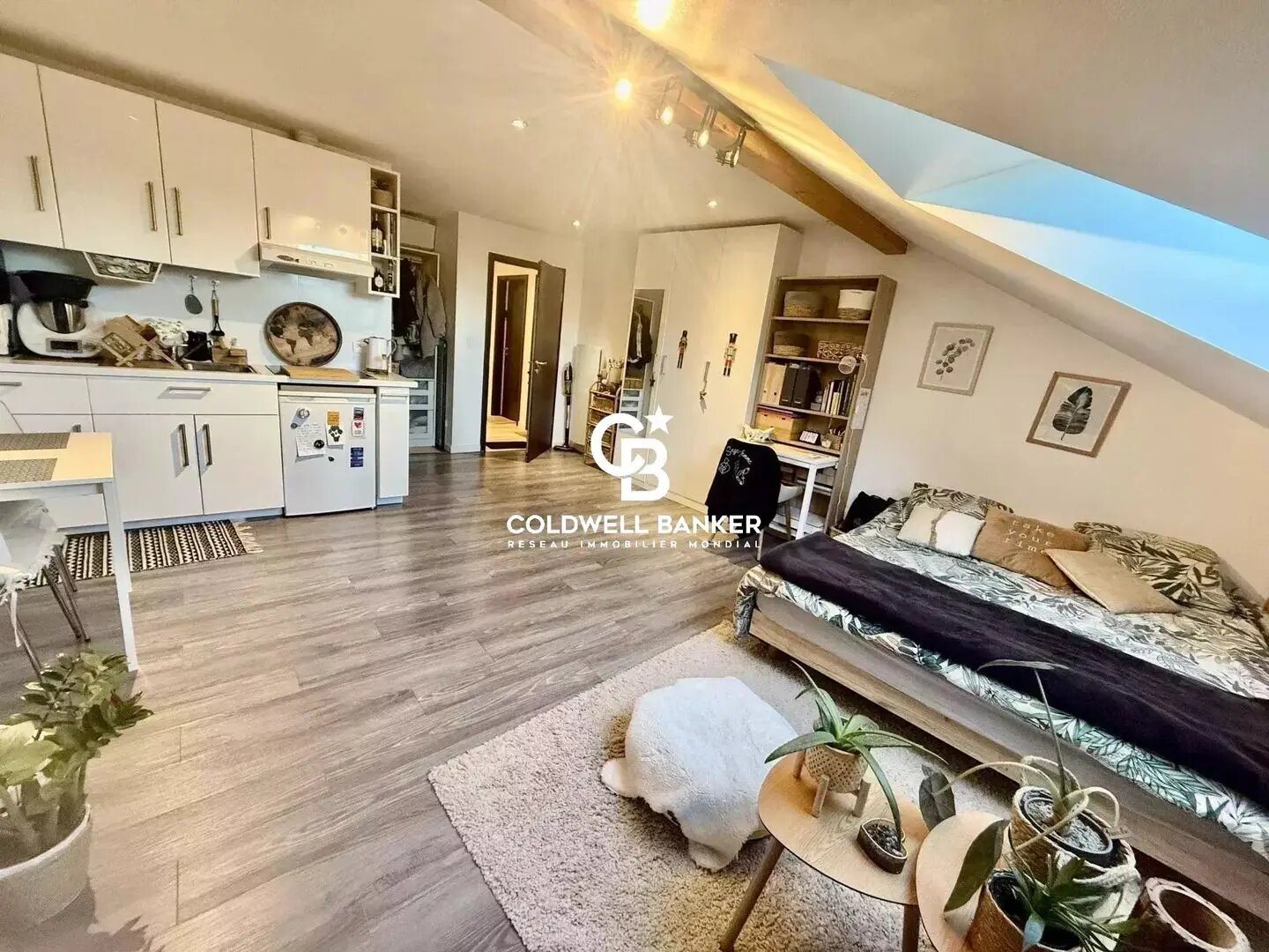 Appartement à vendre, 475m², Gaillard
