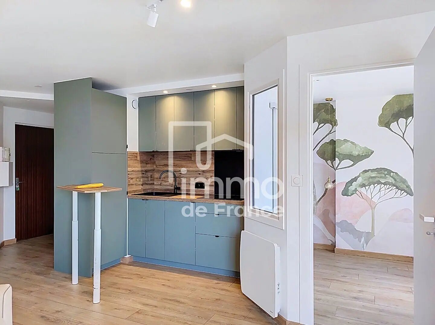 Appartement à louer, 30m², Oyonnax