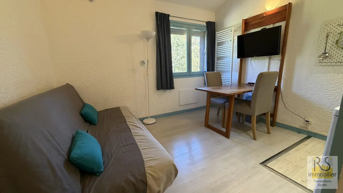 Appartement à vendre, 13m², Arâches-la-Frasse (Les Carroz d'Arâches)