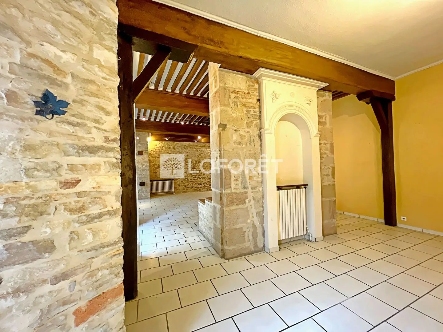Maison à vendre, 383m², Saint-Amour