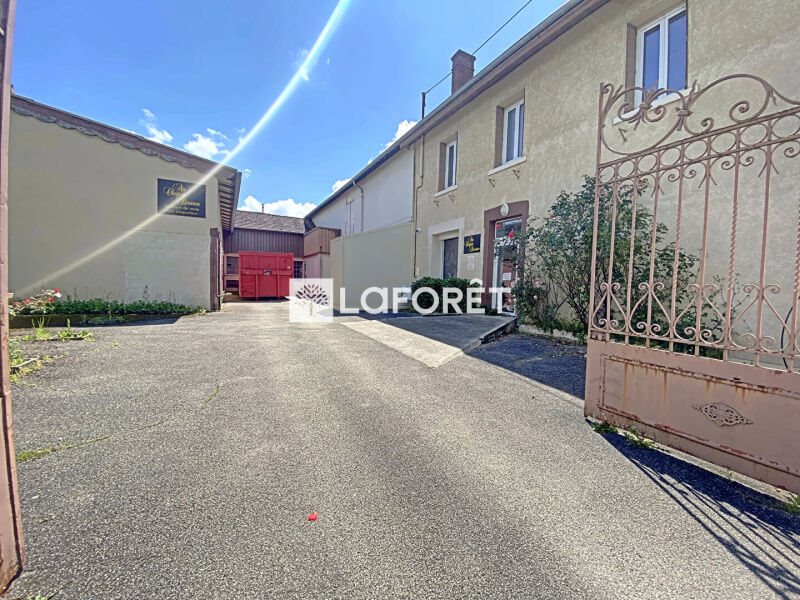 Maison à vendre, 560m², Montrevel-en-Bresse